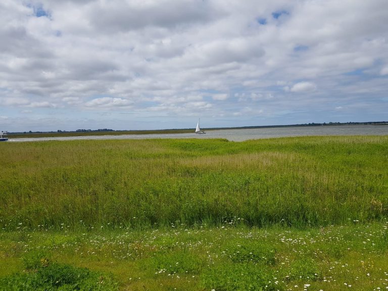 Wiese und Bodden bezieht sich auf die Vielfalt an Therapierichtungen