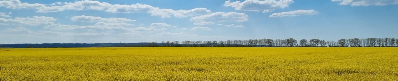 Rapsfeld symbolisiert Freiheit