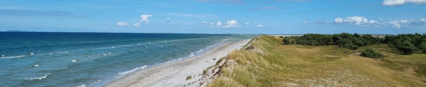 Blick auf die Düne soll Selbstreflexibilität symbolisieren